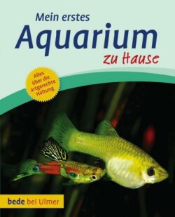 Mein erstes Aquarium zu Hause