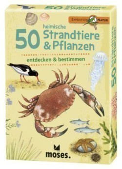 Expedition Natur 50 heim. Strandtiere & Pflanzen