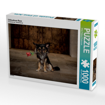 CALVENDO Puzzle Chihuahuas Rose | 1000 Teile Lege-Größe 64x48cm Foto-Puzzle für glückliche Stunden