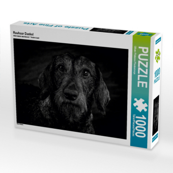 CALVENDO Puzzle Rauhaar Dackel | 1000 Teile Lege-Größe 64x48cm Foto-Puzzle für glückliche Stunden