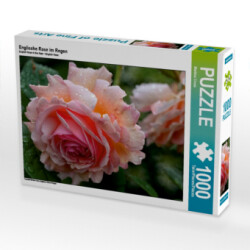 Englische Rose im Regen (Puzzle)