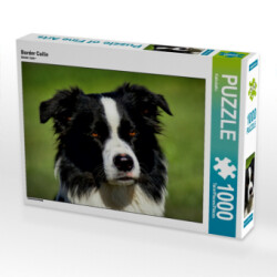 Border Collie (Puzzle)