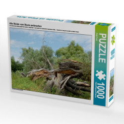 CALVENDO Puzzle Alte Weide vom Sturm zerbrochen 1000 Teile Lege-Größe 64 x 48 cm Foto-Puzzle Bild von Anja Frost