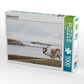 CALVENDO Puzzle Spitzbergen-Rentier 1000 Teile Lege-Größe 64 x 48 cm Foto-Puzzle Bild von Wilfried Martin