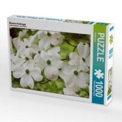 Blumen-Hartriegel (Puzzle)