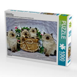 Ein Motiv aus dem Kalender CATS IN HDR (Puzzle)