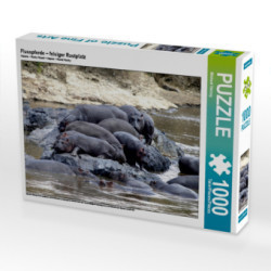 CALVENDO Puzzle Flusspferde - felsiger Rastplatz 1000 Teile Lege-Größe 64 x 48 cm Foto-Puzzle Bild von Michael Herzog