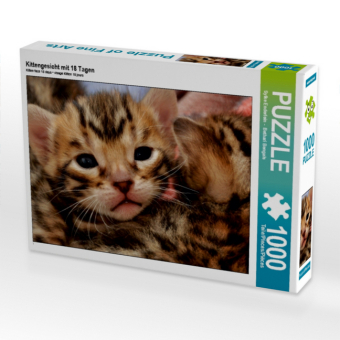 Kittengesicht mit 18 Tagen (Puzzle)