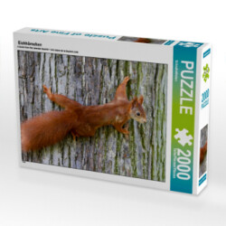 Eichhörnchen (Puzzle)
