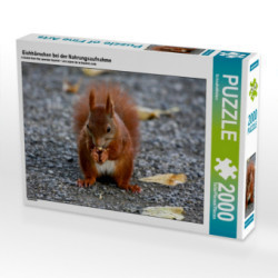 Eichhörnchen bei der Nahrungsaufnahme (Puzzle)