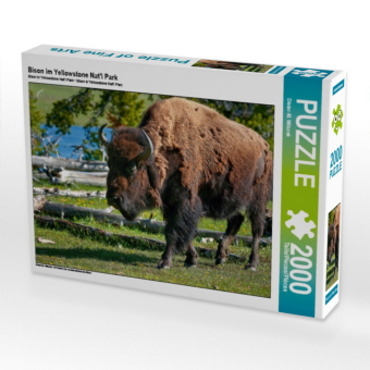 Bison im Yellowstone Nat'l Park (Puzzle)