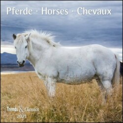 Pferde / Horses / Chevaux 2021