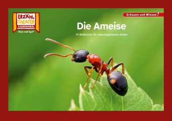 Die Ameise / Kamishibai Bildkarten