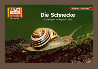 Die Schnecke / Kamishibai Bildkarten