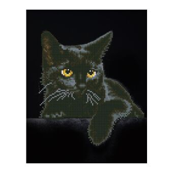 DIAMOND DOTZ - Diamond Painting Schwarze Katze