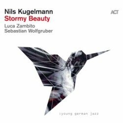 Stormy Beauty, 1 Audio-CD (Digipak)