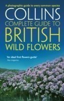British Wild Flowers