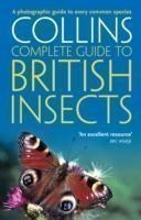 British Insects