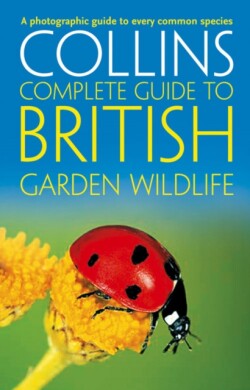 British Garden Wildlife