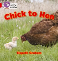 Chick to Hen