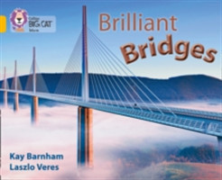 Brilliant Bridges