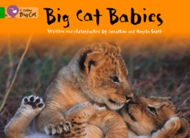 Collins Big Cat - Big Cat Babies