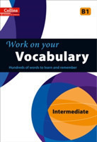 Vocabulary B1