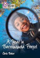 Year in Barrowswold Forest