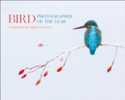 Bird Photographer of the Year