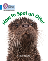 How to Spot an Otter