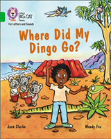 Where Did My Dingo Go?