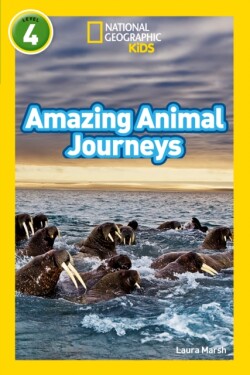 Amazing Animal Journeys