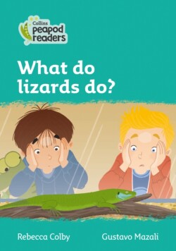 What do lizards do? Level 3