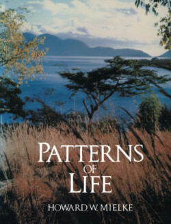 Patterns of Life