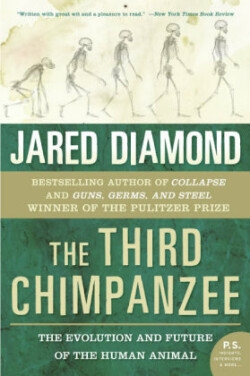 Third Chimpanzee