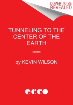 Tunneling to the Center of the Earth