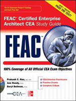 FEAC Certified Enterprise Architect CEA Study Guide