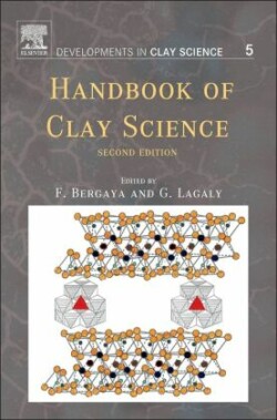 Handbook of Clay Science