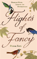 Flights of Fancy