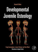 Developmental Juvenile Osteology