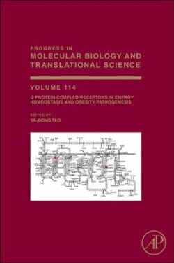 G Protein-Coupled Receptors in Energy Homeostasis and Obesity Pathogenesis