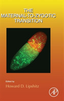 Maternal-to-Zygotic Transition