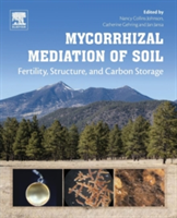 Mycorrhizal Mediation of Soil