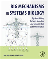 Big Mechanisms in Systems Biology