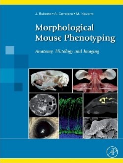 Morphological Mouse Phenotyping