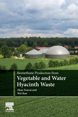 Biomethane Production from Vegetable and Water Hyacinth Waste