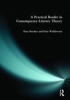 Practical Reader in Contemporary Literary Theory