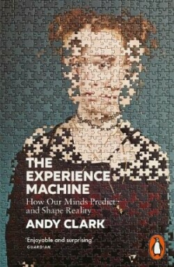 Experience Machine