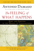 Feeling of What Happens