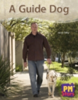 Guide Dog